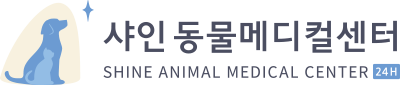 노블아이키즈의원